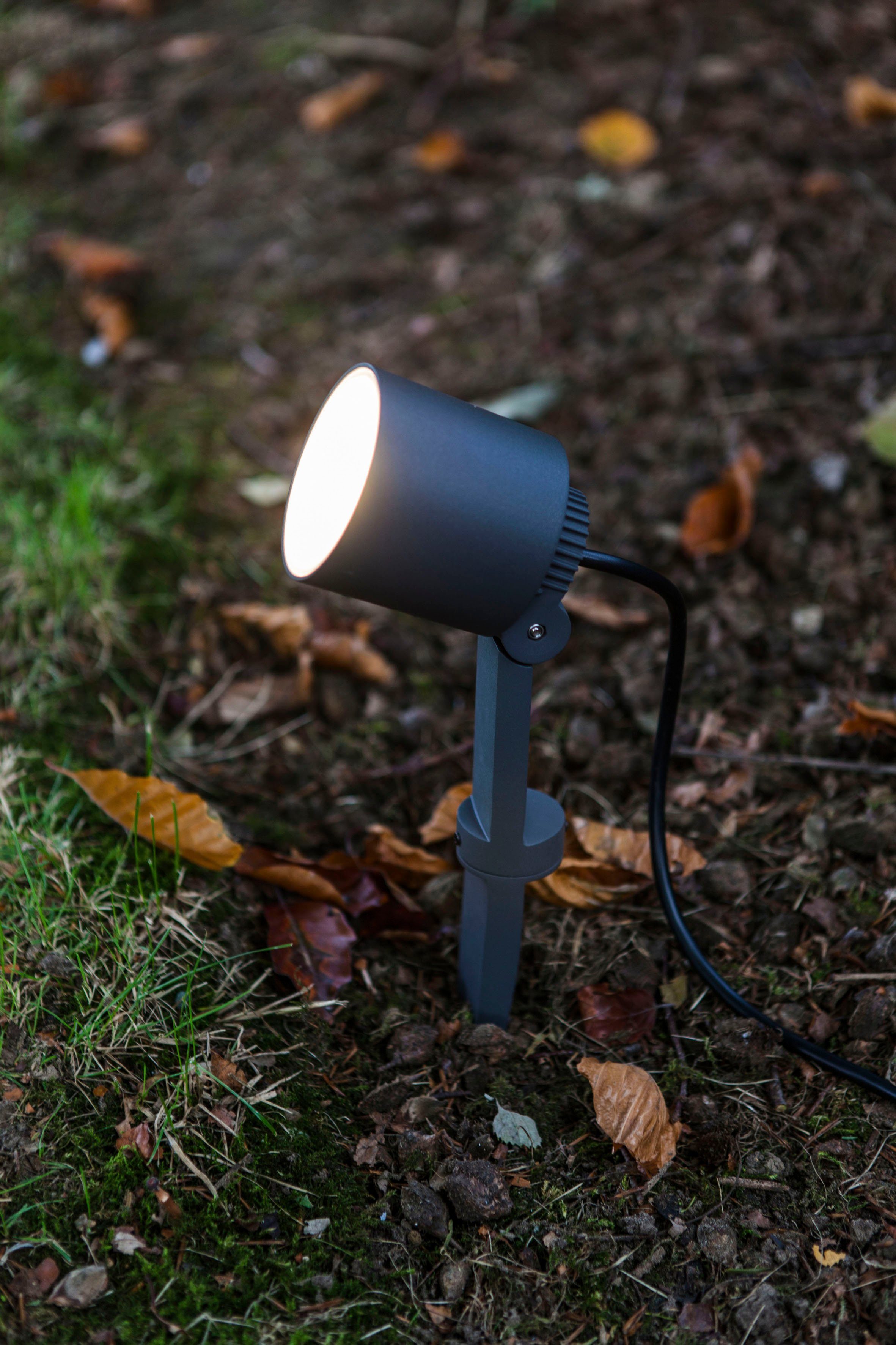 LUTEC Ledwandlamp voor buiten Explorer (1 stuk)