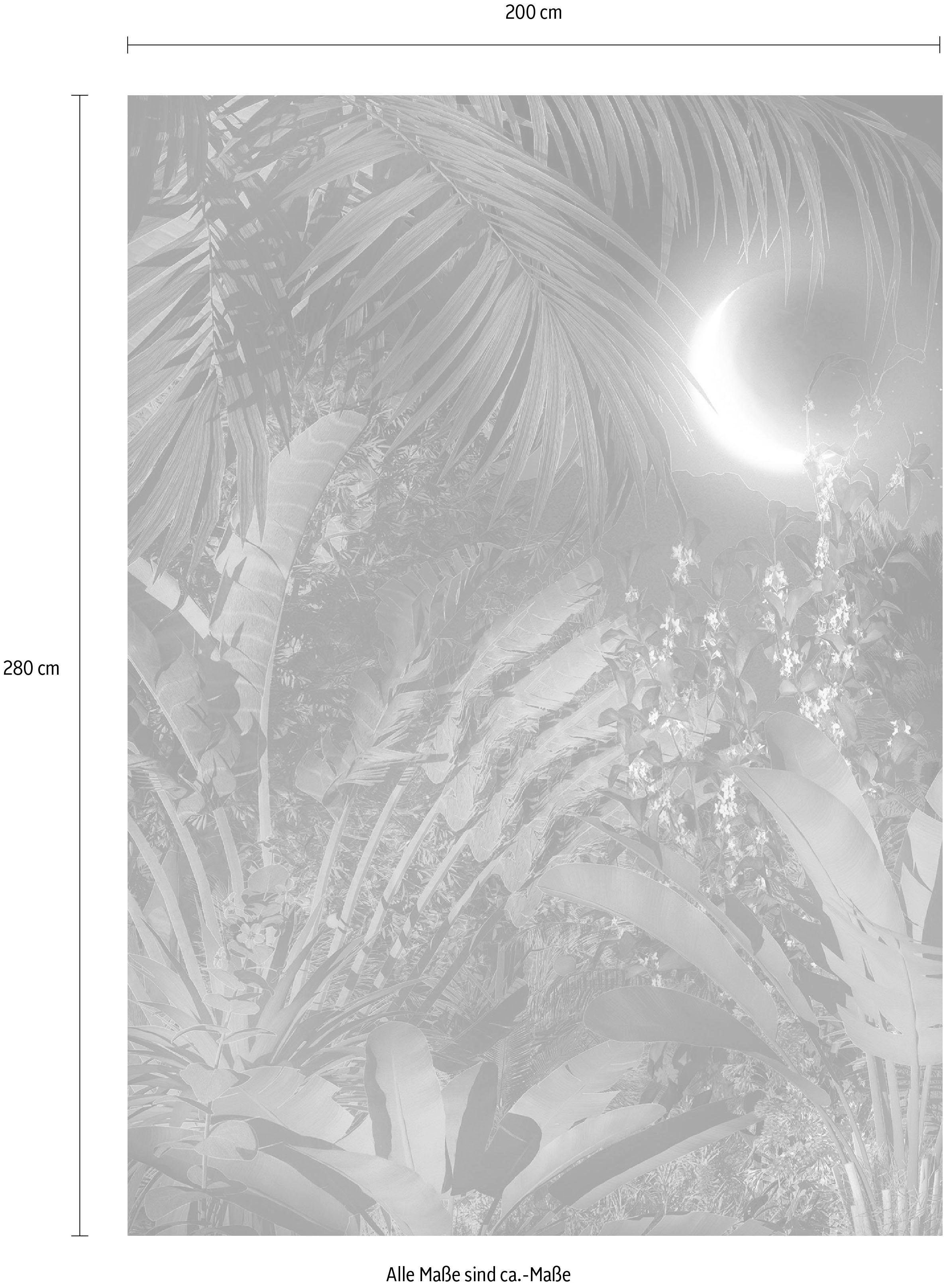 Komar Vliesbehang Digitale print vlies - Intense - Afmeting 200 x 280 cm