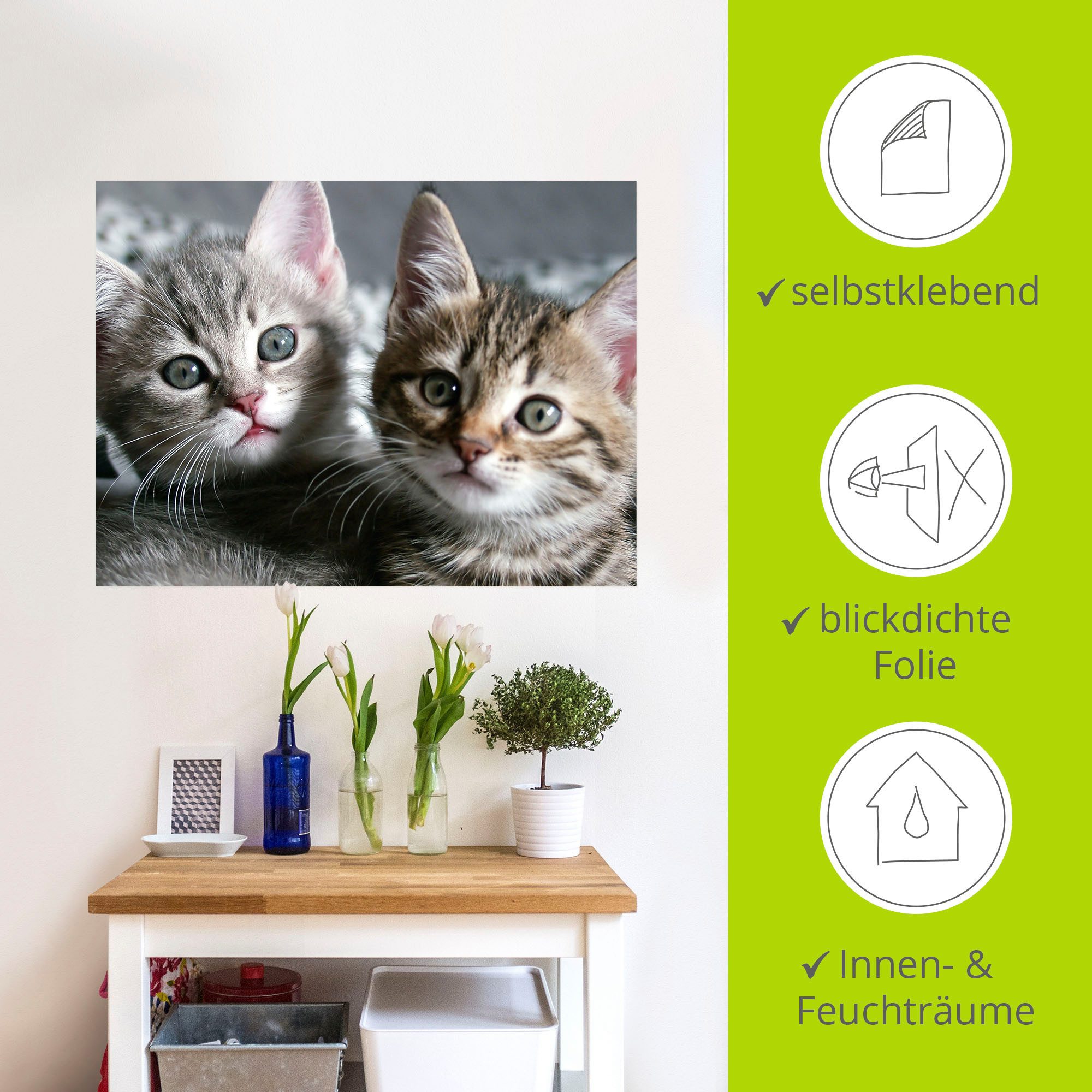 Artland Artprint Kat als artprint van aluminium, artprint voor buiten, artprint op linnen, poster, muursticker