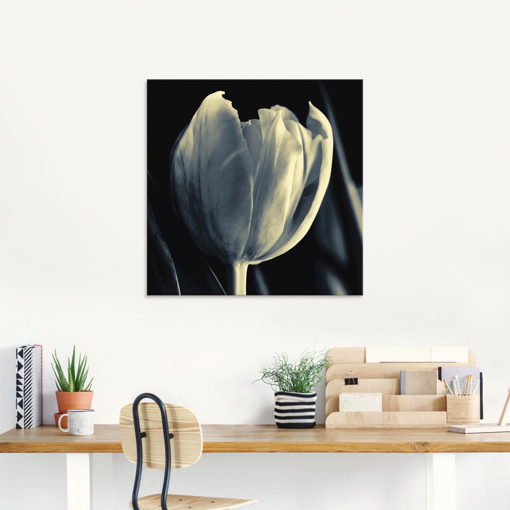 Artland Print op glas Tulp in verschillende maten