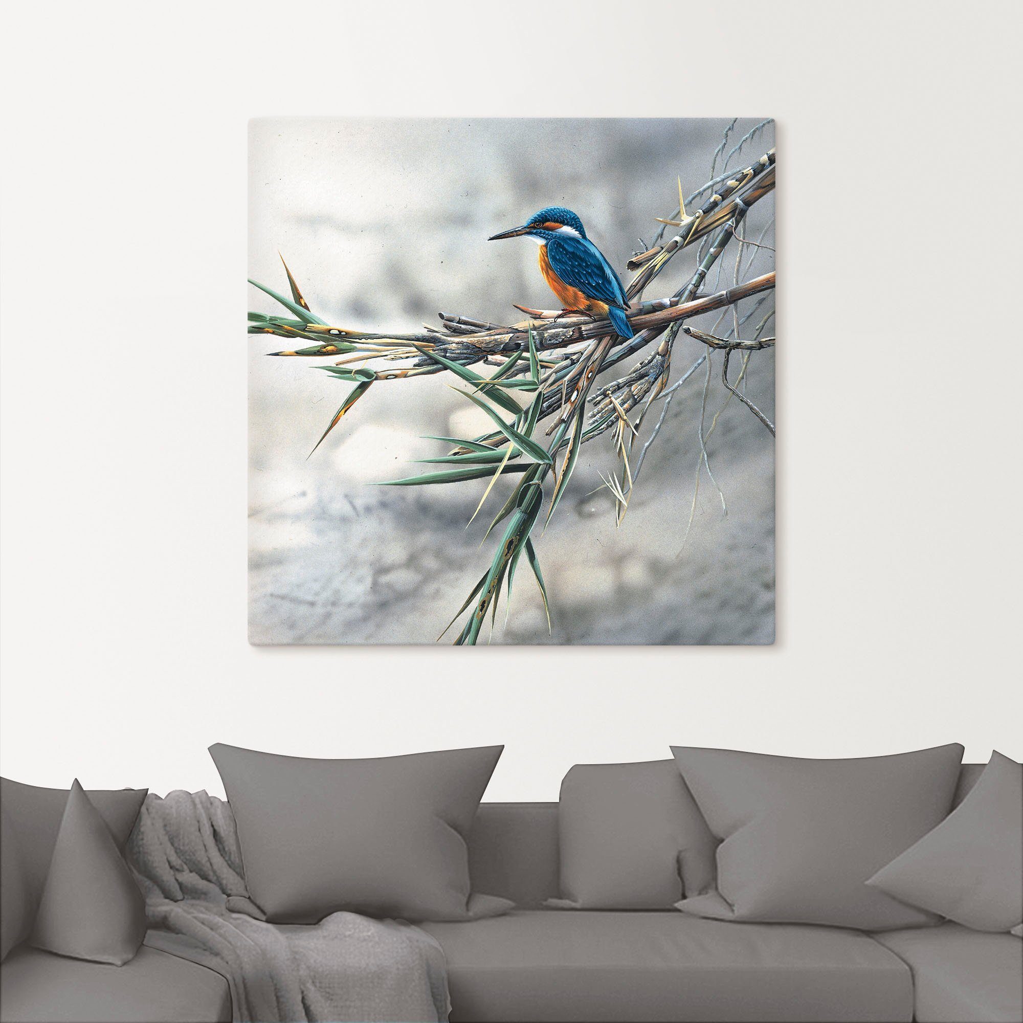 Artland Artprint Ijsvogel I als artprint op linnen, poster, muursticker in verschillende maten