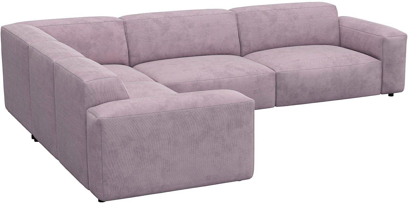 FLEXLUX Hoekbank Lucera, super comfortabel door hoogwaardige zitconstructie met koudschuim