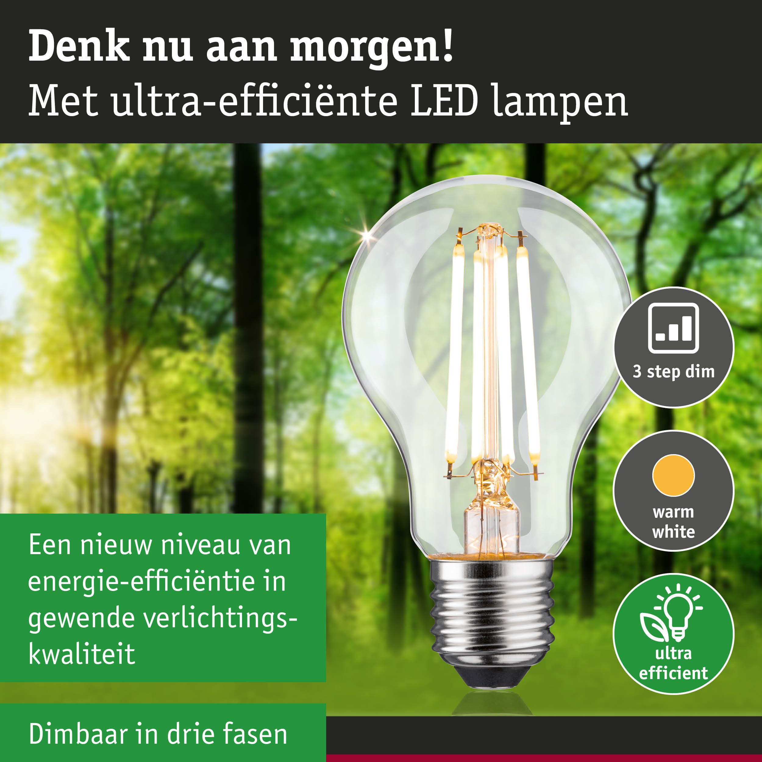Paulmann Led-verlichting Eco-Line filament 230V LED-lamp E27 1521lm 8,2W 3000K dimbaar helder