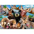 consalnet vliesbehang dier-selfies in verschillende maten bruin