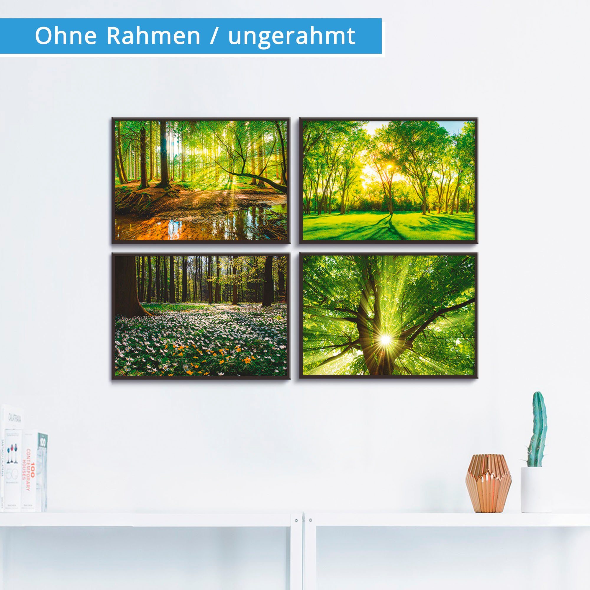 Artland Poster Bos beek voorjaar windroos zon boom (4 stuks)