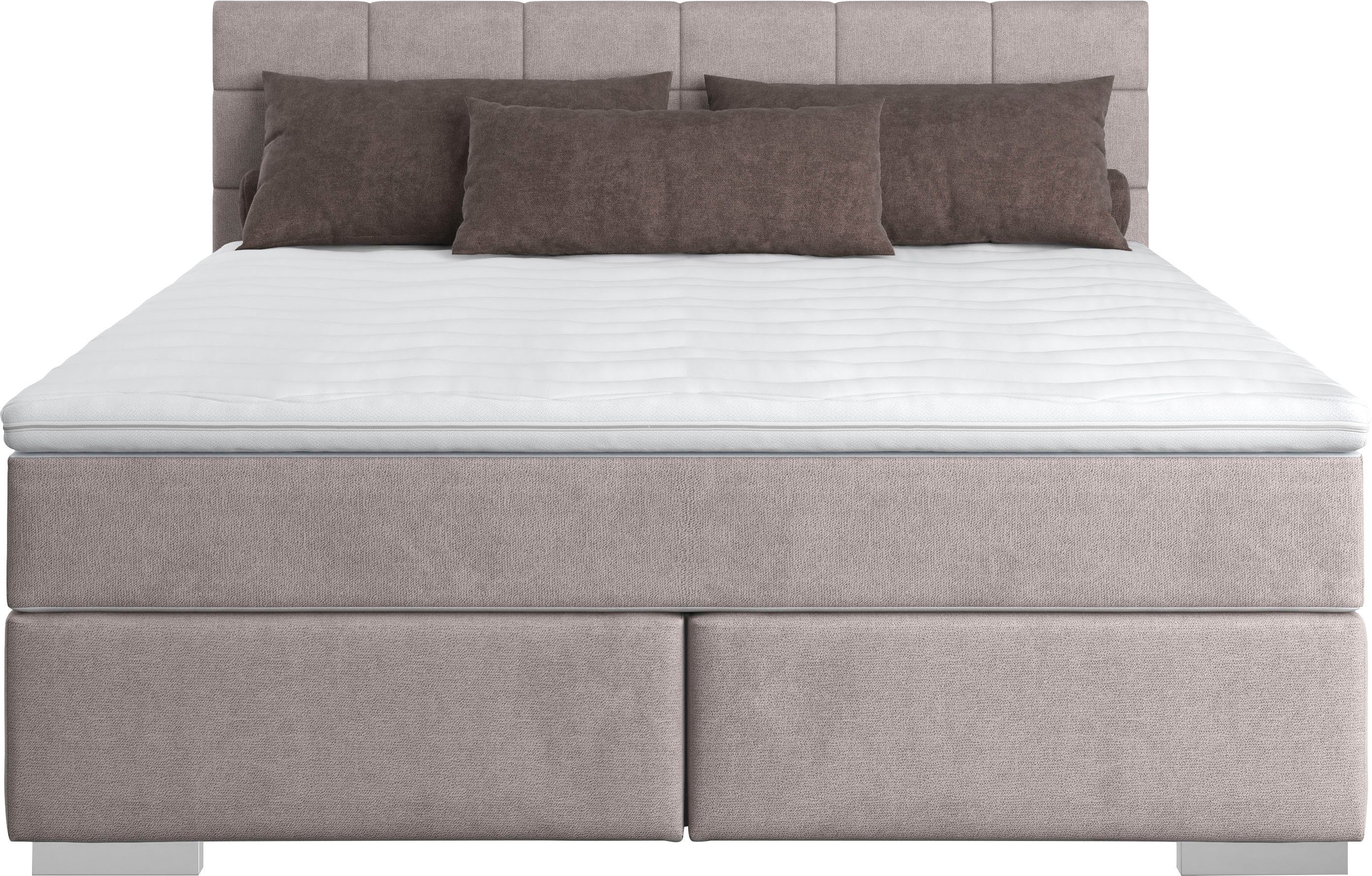 COTTA Boxspring Simba
