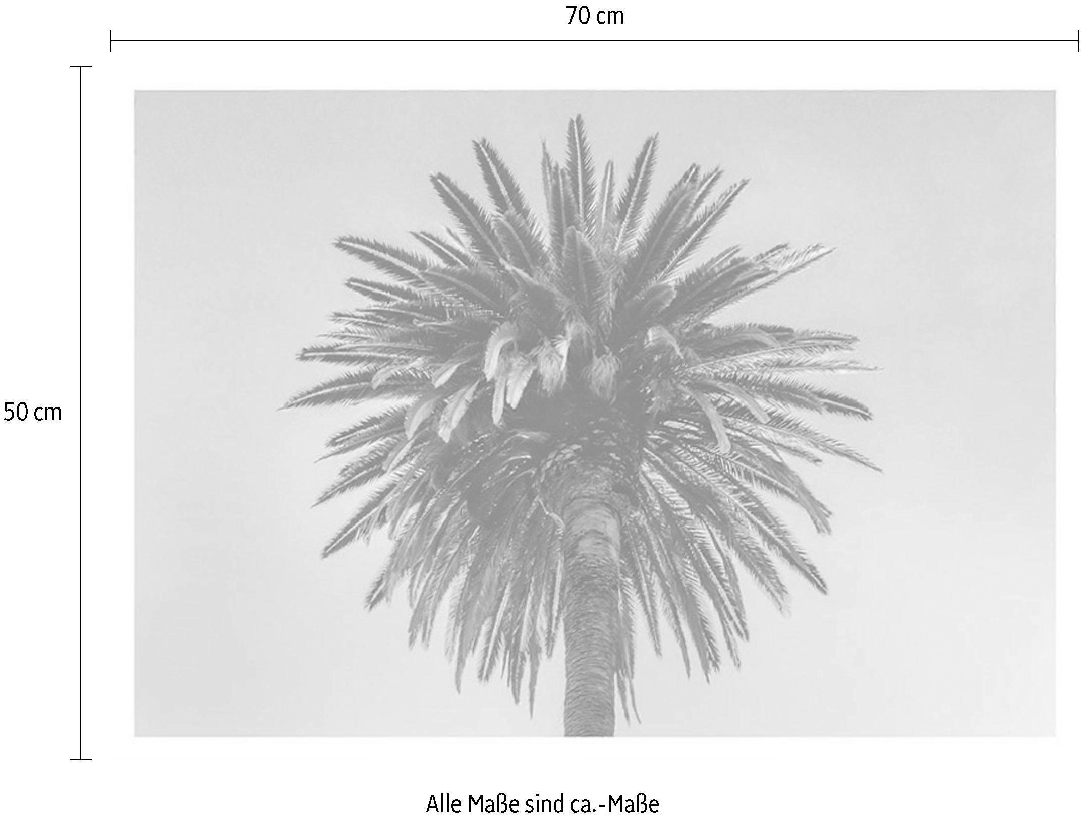 Komar Wanddecoratie Palm tree Wanddecoratie - zonder lijst (1 stuk)