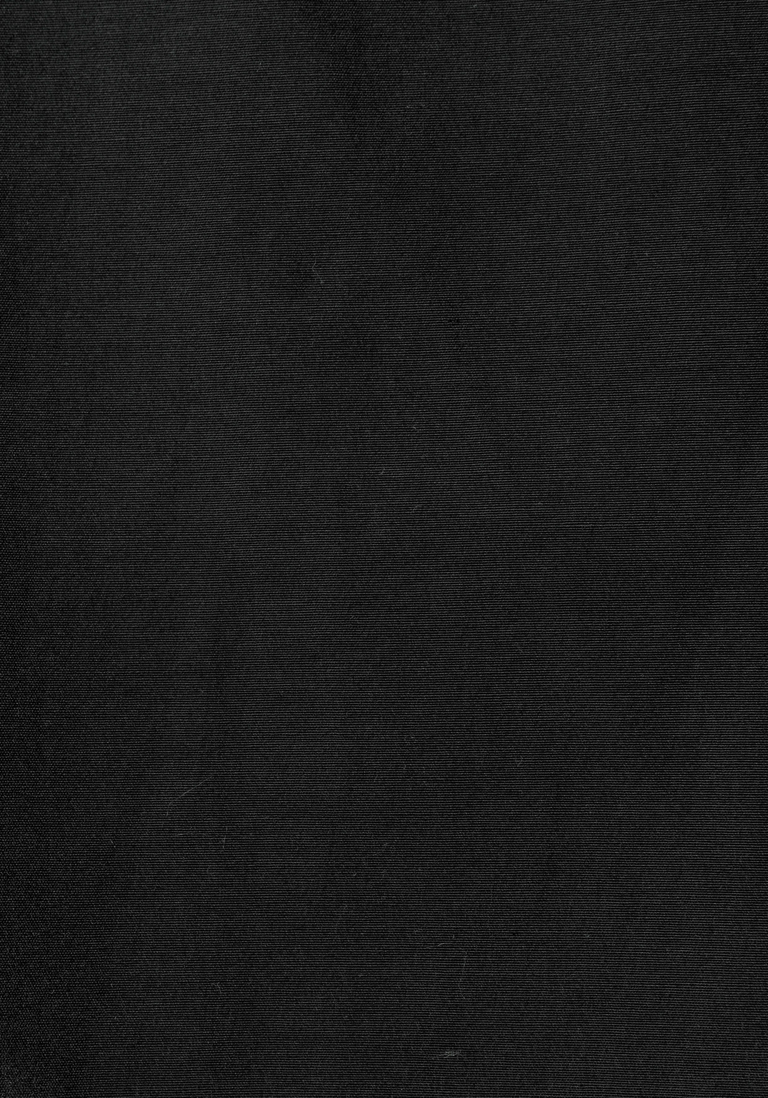 Vivance Top Klassieke blouse-inzet in dubbelpack, blousekraag, klassieke blouse-inzet, insteekkraag