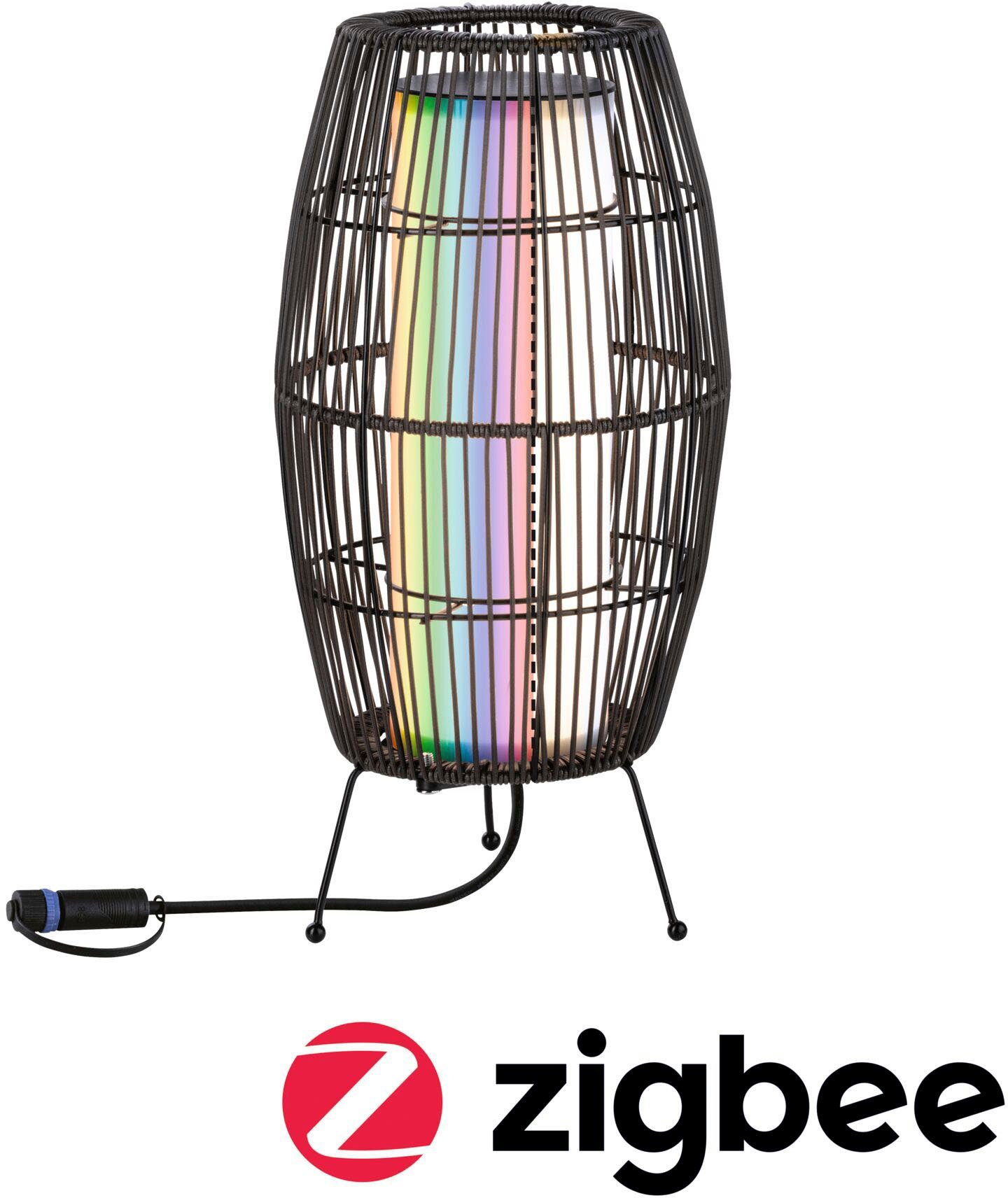 Paulmann Led-tuinverlichting Buiten Plug & Shine Basket 40 RGBW ZigBee IP44 (1 stuk)