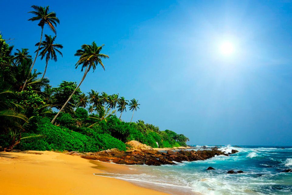 Papermoon Fotobehang Sri Lanka tropical beach