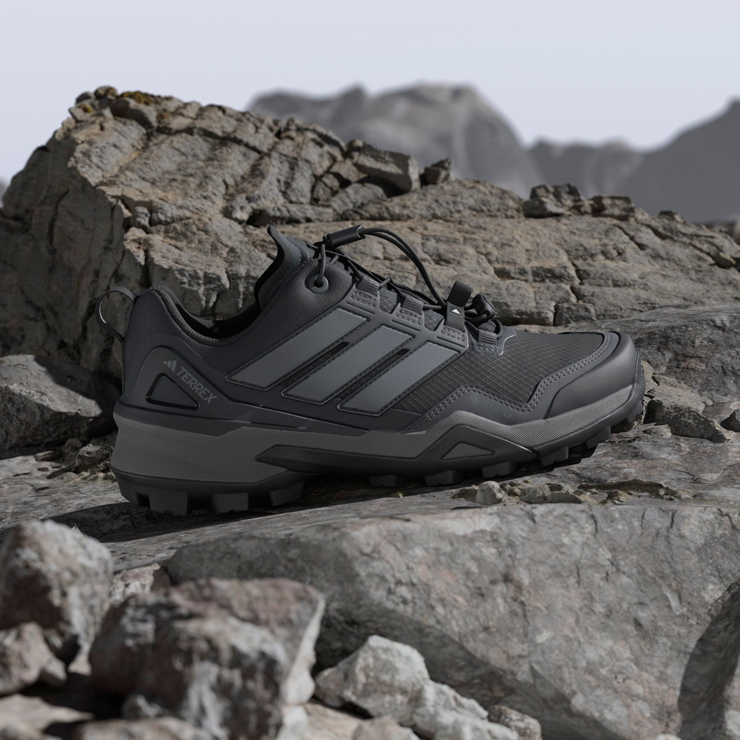 adidas TERREX Wandelschoenen TERREX SKYCHASER GORE-TEX