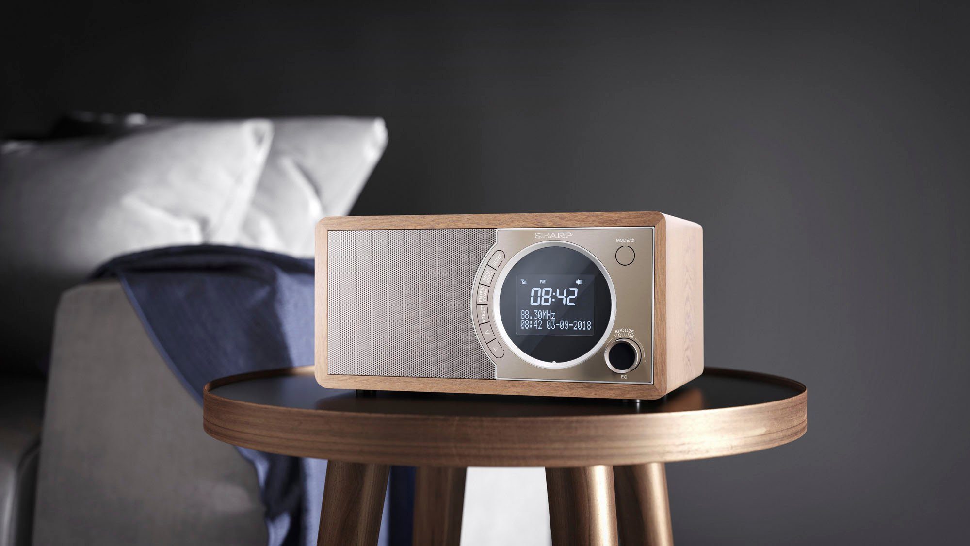 Sharp Digitale radio DAB DR-450