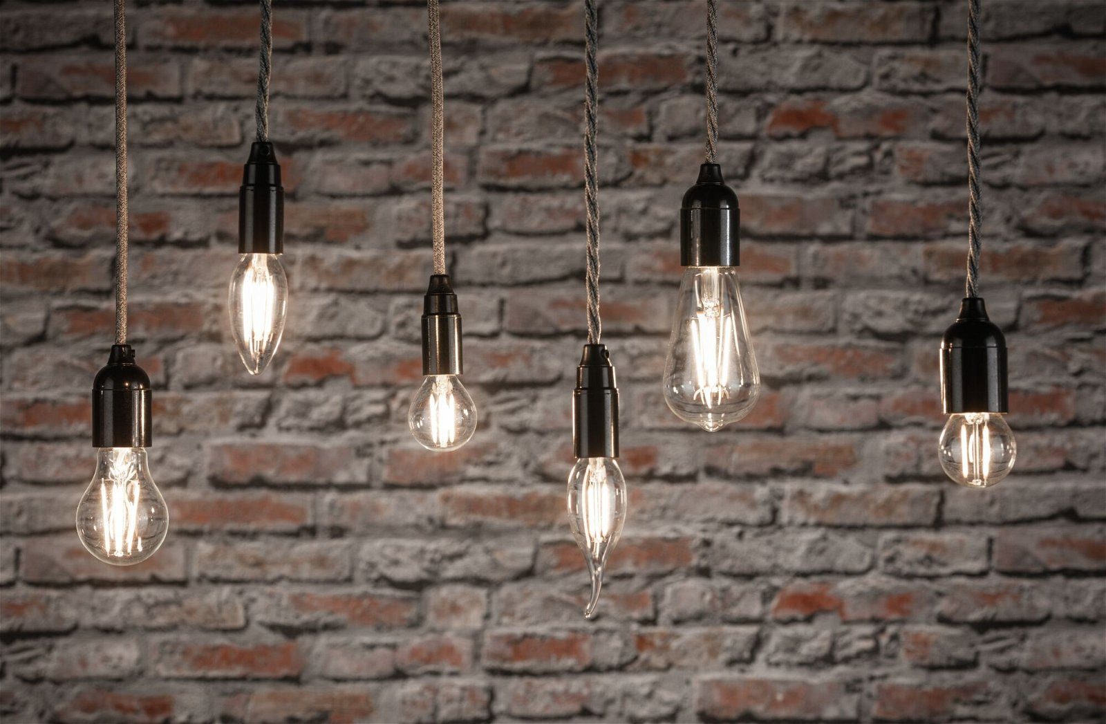 Paulmann Led-filamentlamp 230V 2000lm 15W 2700K helder (1 stuk)