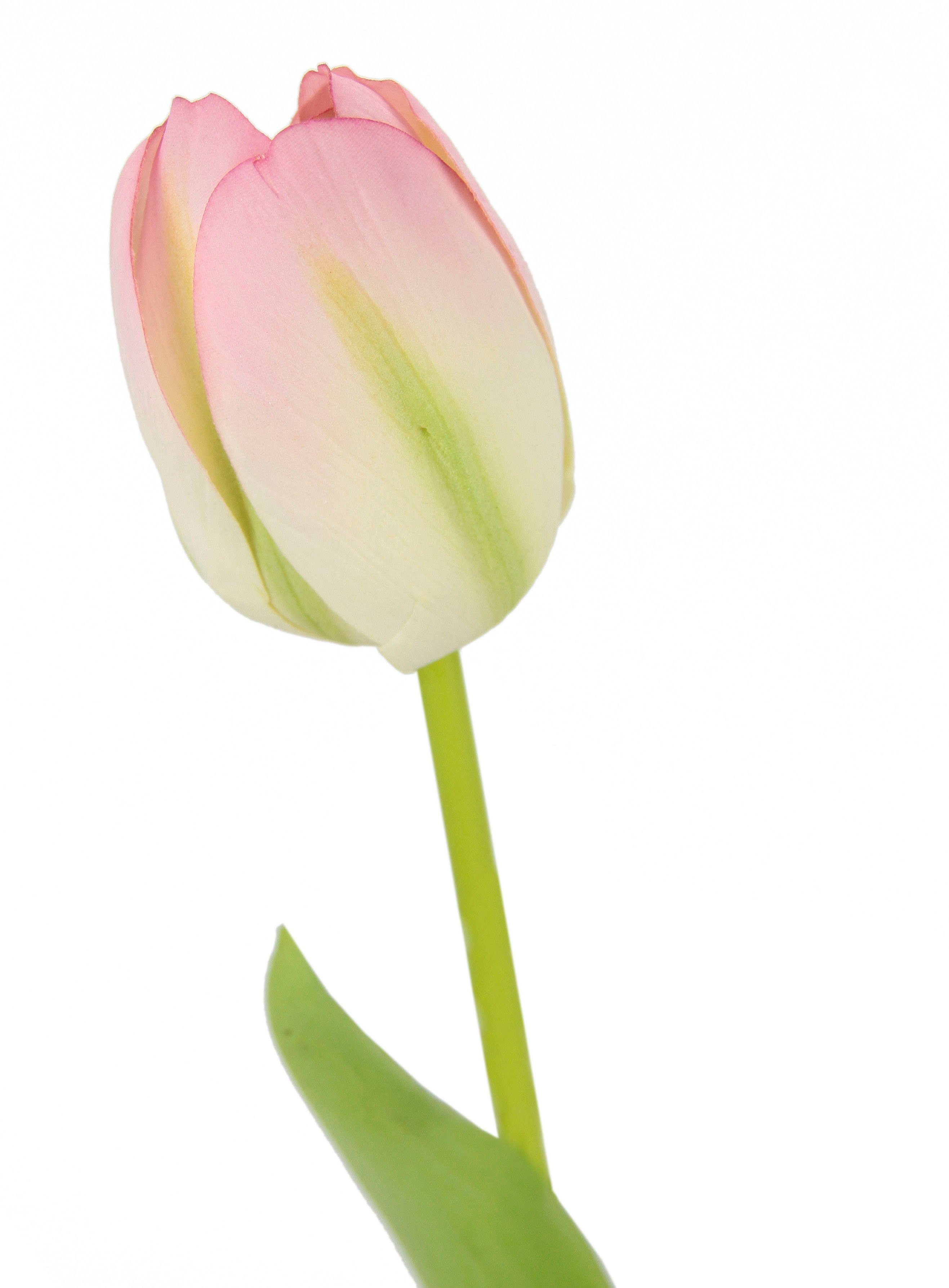 I.GE.A. Kunstbloem Real Touch Tulpen set van 5 kunst-tulpenknoppen kunstbloemen snijbloem (5 stuks)