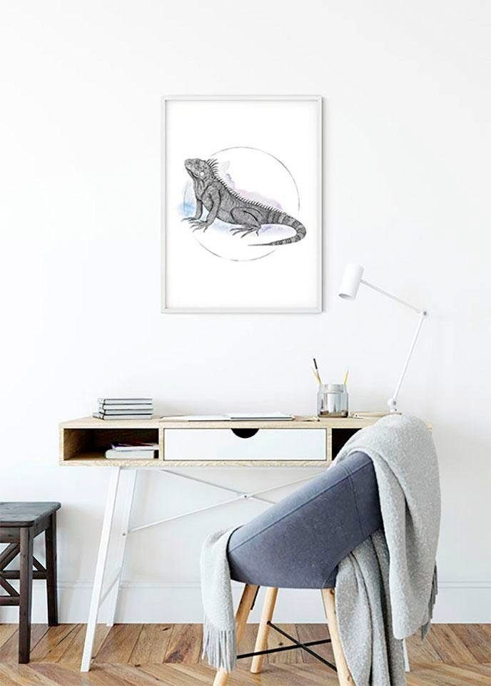 Komar Wanddecoratie Iguana Watercolor Wanddecoratie - zonder lijst