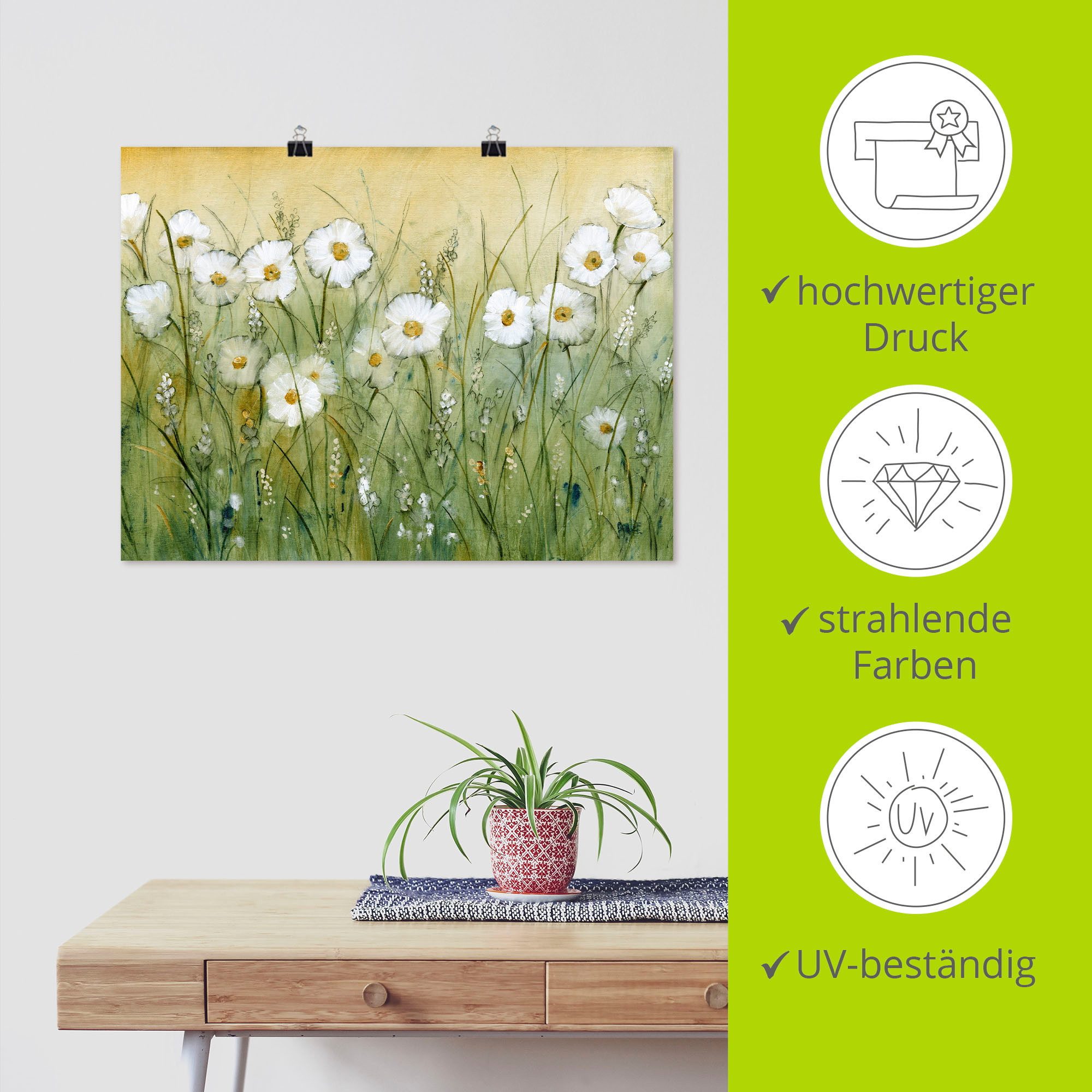 Artland Artprint Voorjaar met madeliefjes II als artprint van aluminium, artprint voor buiten, artprint op linnen, poster, muursticker