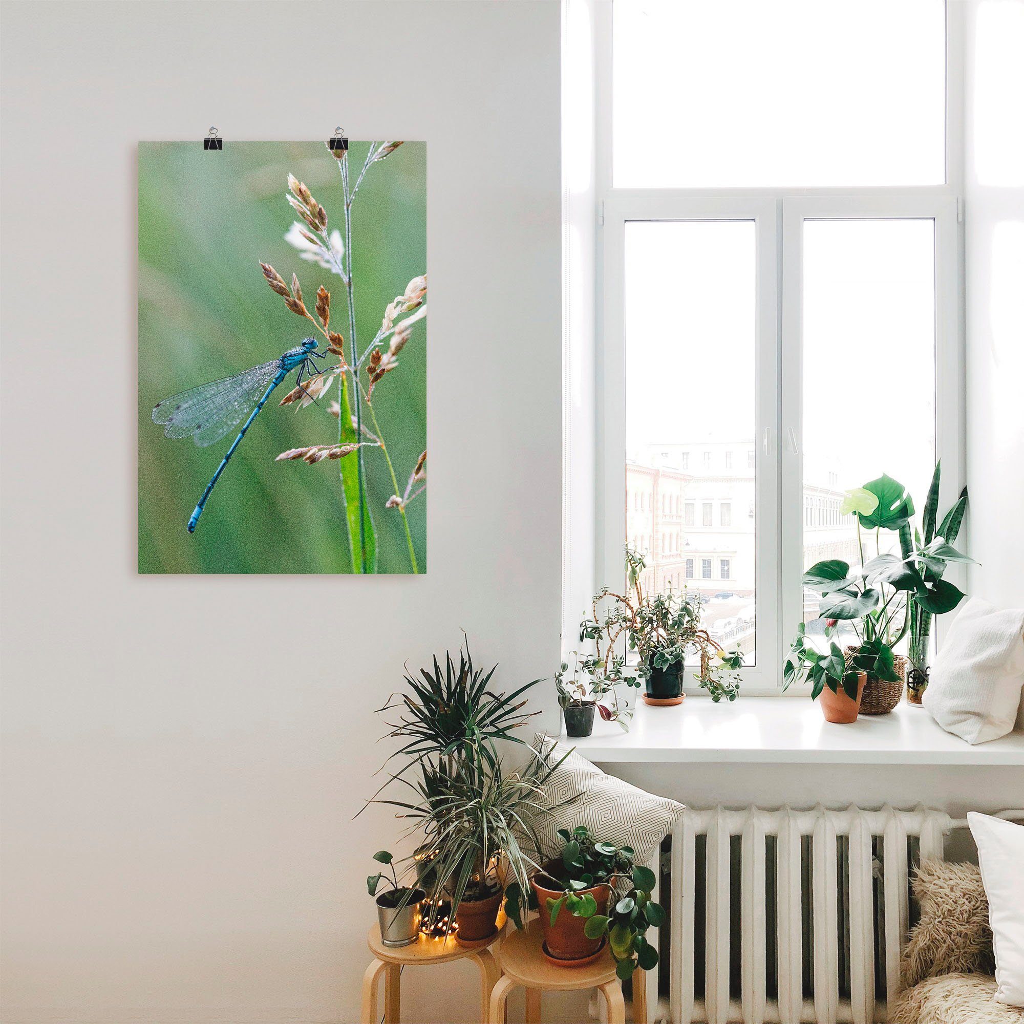Artland Poster Kleine libelle als artprint van aluminium, artprint op linnen, muursticker of poster in verschillende maten