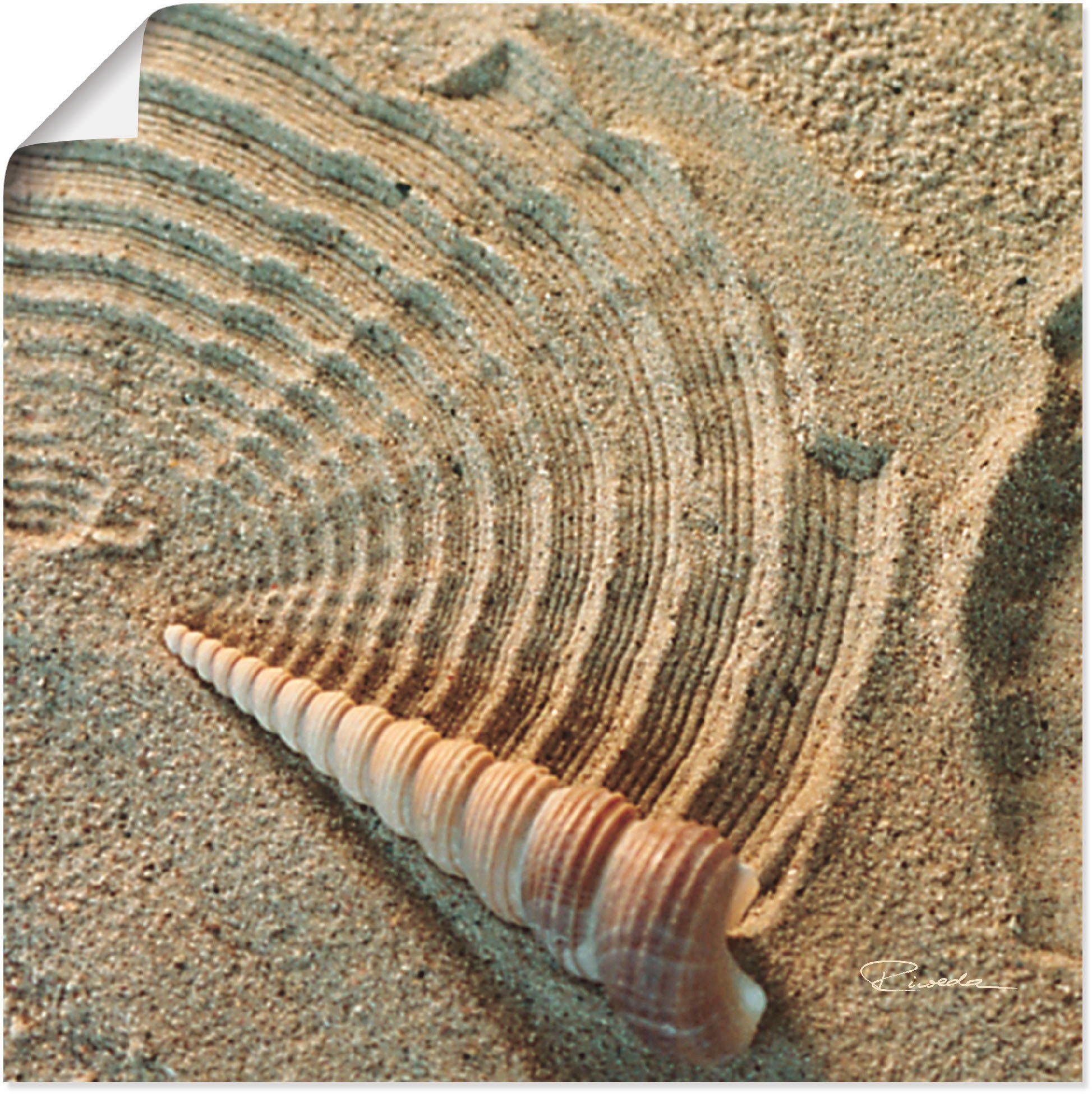 Artland Artprint Zen IV - schelp in het zand in vele afmetingen & productsoorten - artprint van aluminium / artprint voor buiten, artprint op linnen, poster, muursticker / wandfoli