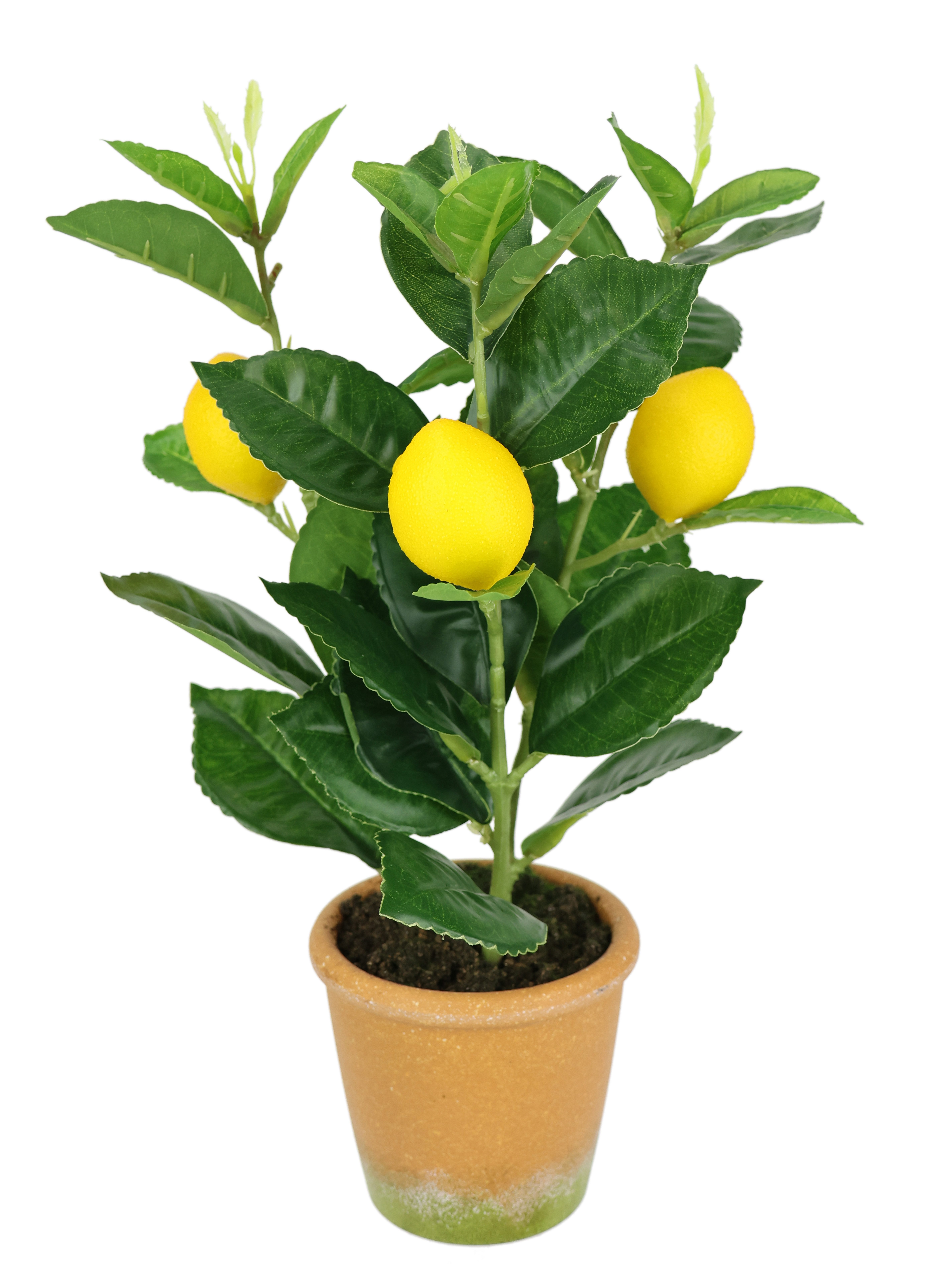 I.GE.A. Kunstplant Kunstmatige mini-citroenboom Levensechte kunstboom boom decoratie fruitboom plant (1 stuk)