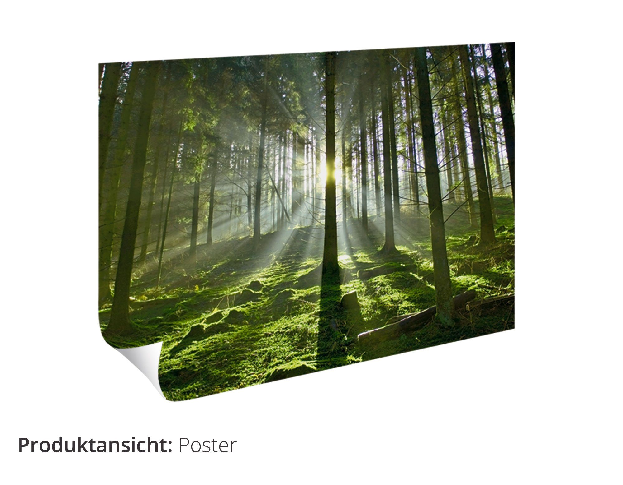 Artland Artprint Drei Zinnen-route in de Dolomieten I in vele afmetingen & productsoorten - artprint van aluminium / artprint voor buiten, artprint op linnen, poster, muursticker /